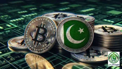 Preparation for crypto licensing underway, major increase expected in remittances