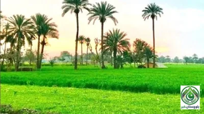 Desert land in Bhakkar transformed into modern agricultural hub under Green Pakistan Initiative